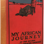 Product image: MY AFRICAN JOURNEY